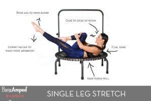 Single Leg Stretch